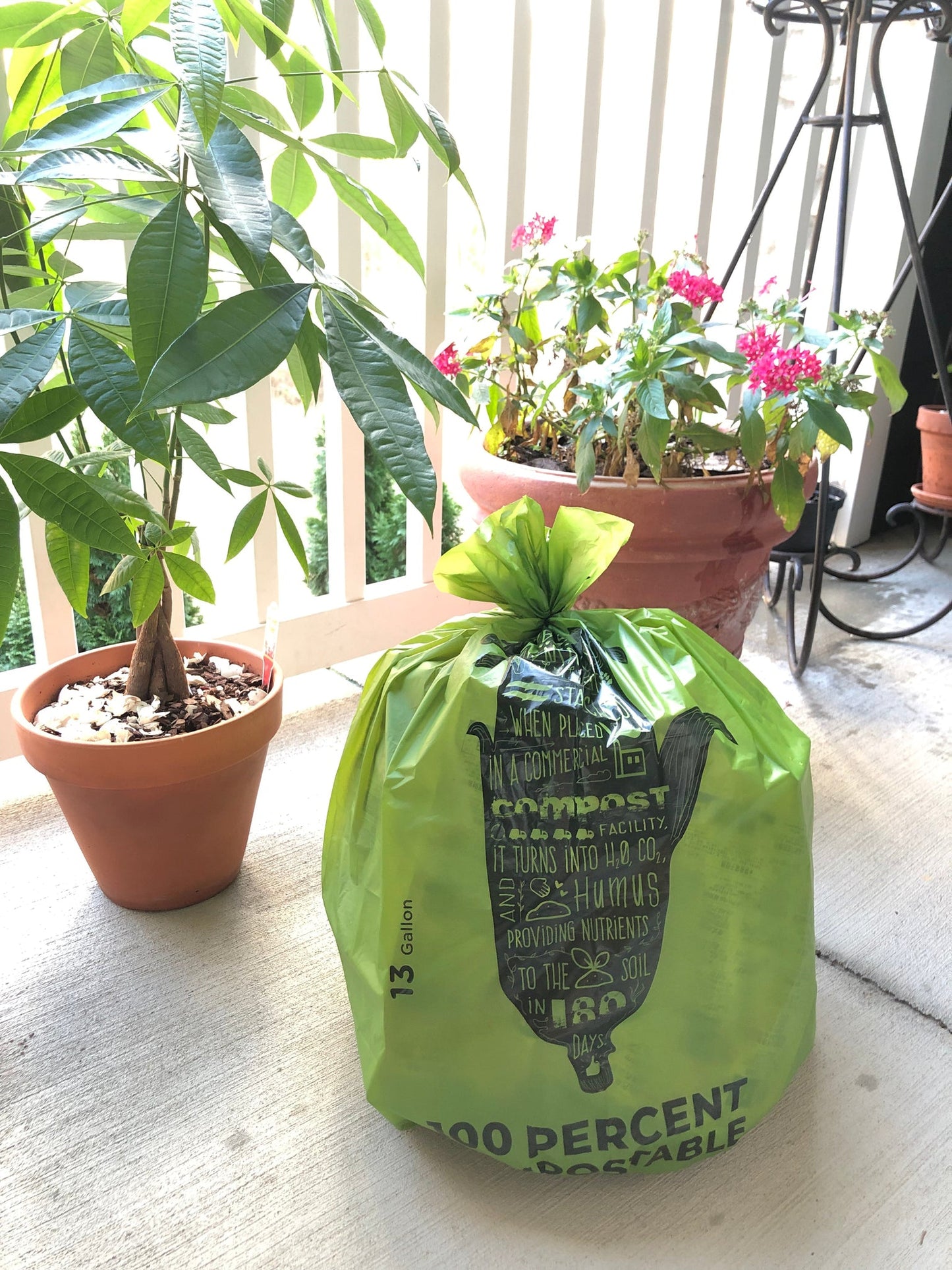 CTG Compostable Bags