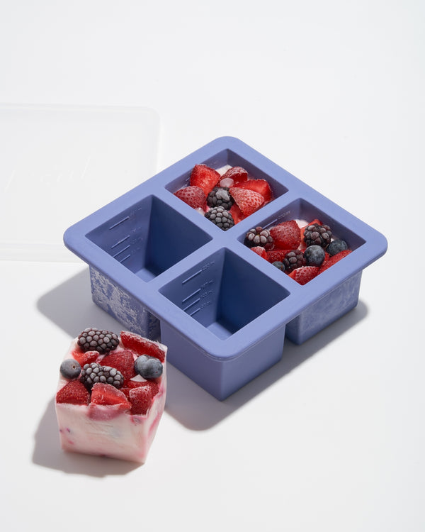 Cup Cube Silicone Food Storage Meal Prep 4