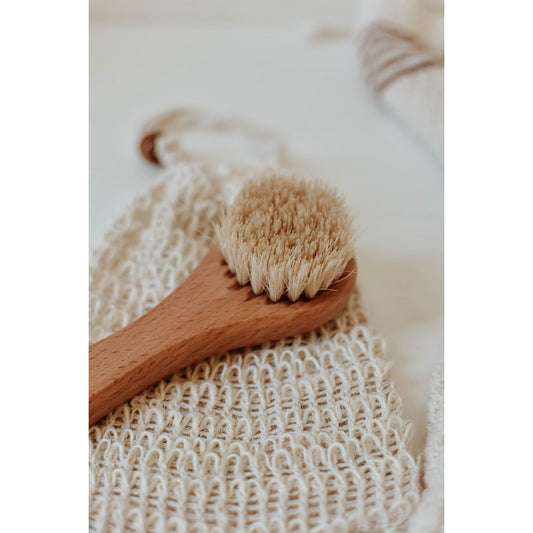 Soft Face Brush